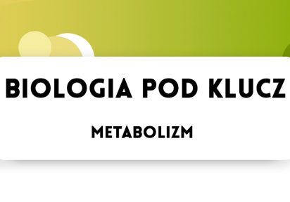 Metabolizm – Biologia Pod Klucz