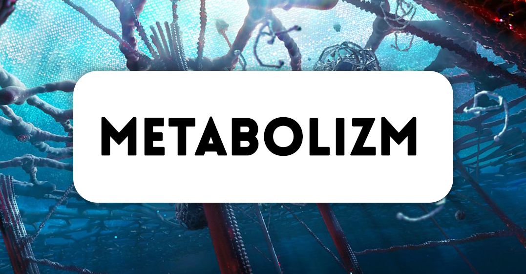 Metabolizm